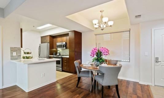 The Adler Apartment *